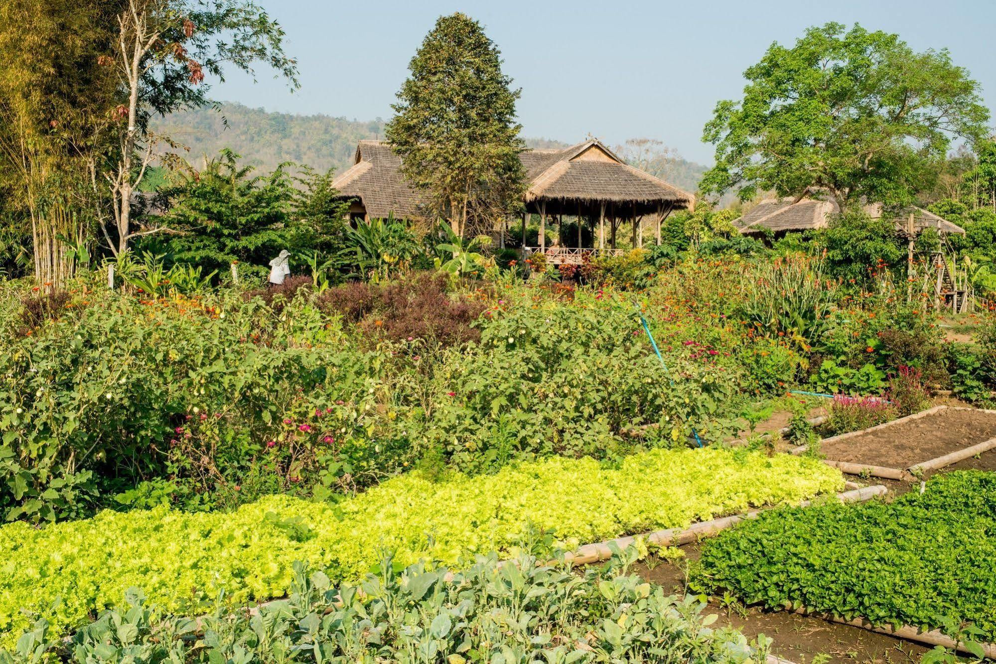 Lisu Lodge Chiang Mai Exterior photo